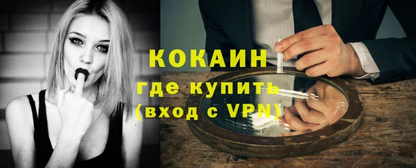 индика Сатка