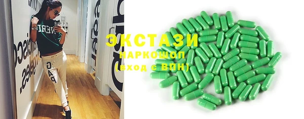 индика Сатка