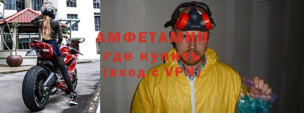 индика Сатка