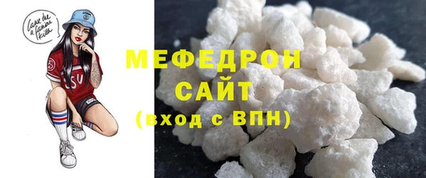 индика Сатка