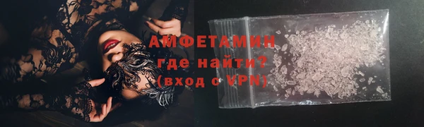 индика Сатка