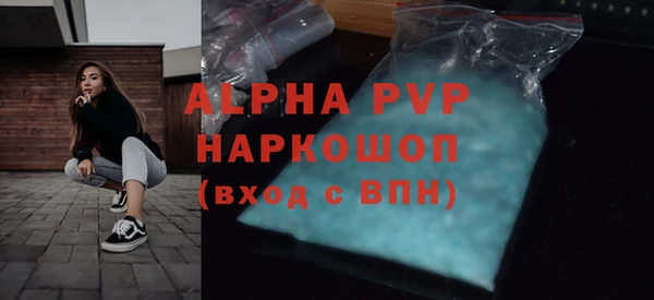 индика Сатка