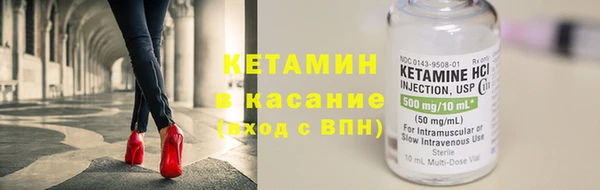 индика Сатка