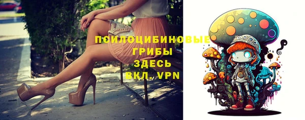индика Сатка