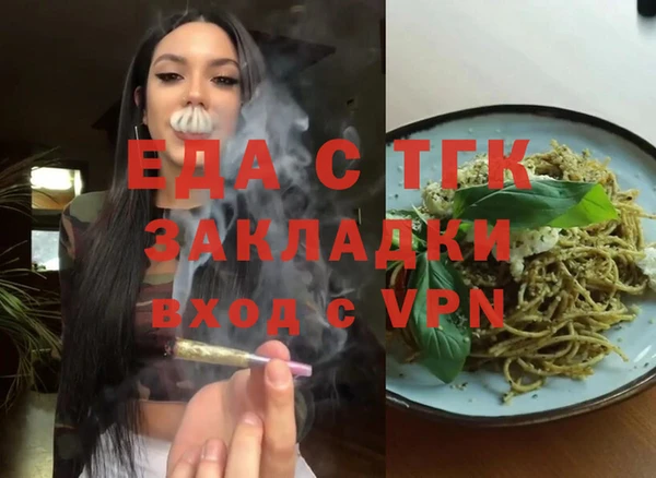 индика Сатка