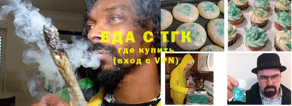 индика Сатка
