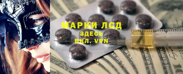 индика Сатка
