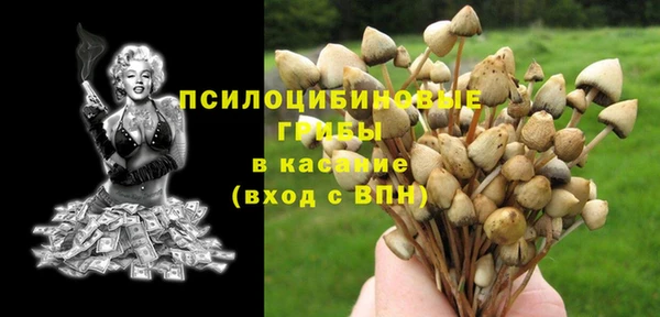 первитин Саяногорск