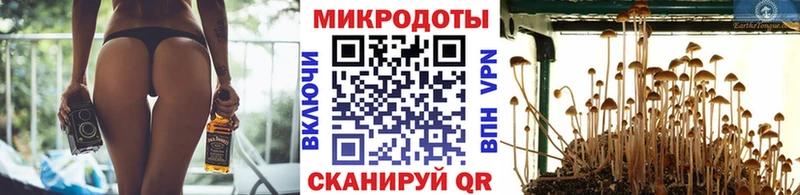 Псилоцибиновые грибы MAGIC MUSHROOMS Углич