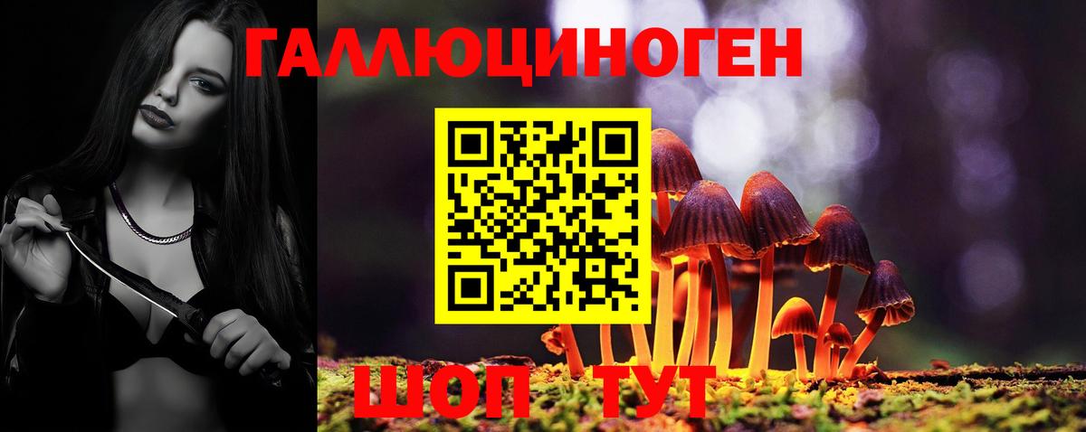 Псилоцибиновые грибы Psilocybe  Псилоцибиновые грибы MAGIC MUSHROOMS  Вход с VPN  Углич 